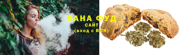 Альфа ПВП Гусь-Хрустальный