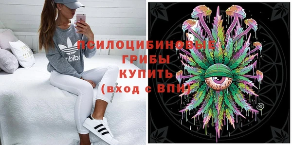 Альфа ПВП Гусь-Хрустальный