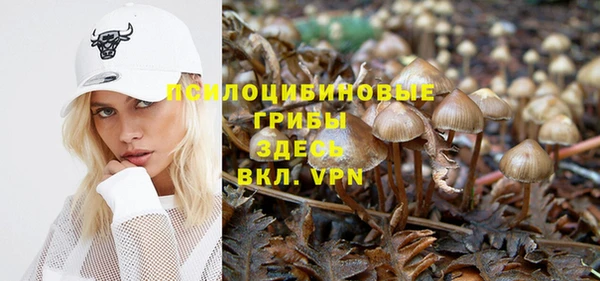 Альфа ПВП Гусь-Хрустальный