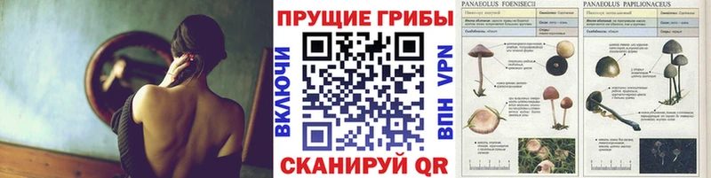 Псилоцибиновые грибы мухоморы  Купить где  Батайск 
